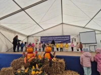 tökfesztivál életkép színpad.jpg